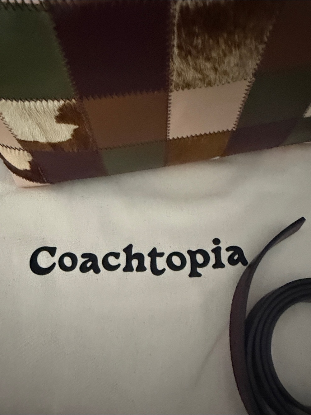 Coachtopia Alter Ego Slouchy Shoulder Bag - Picture 7 of 9